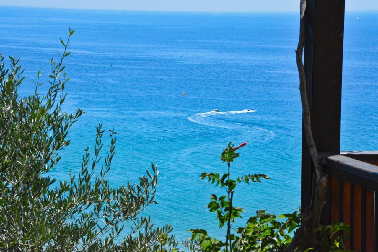 פלקאס Corfu Resorts Apartments מראה חיצוני תמונה